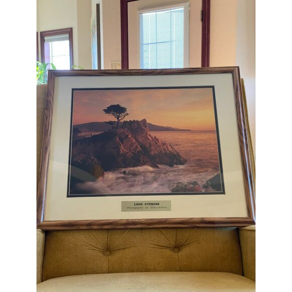 Large Lone Cypress Print By John Gronert In Matted Wood Frame Vintage - Picture 7 of 8